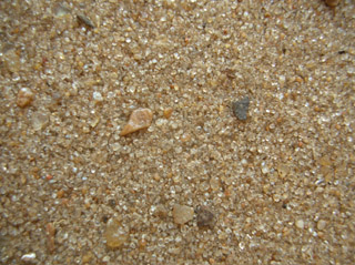 Playa de La Florida, Rosario